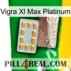 Vigra Xl Max Platinum new13